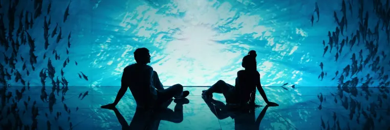 Projetos Sensoriais por RG.FM